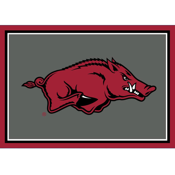 Arkansas Razorbacks 3x4 Area Rug