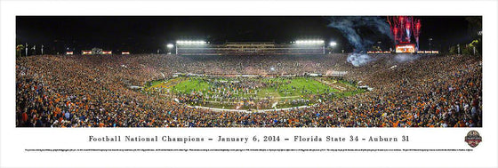 BCS 2014 Football Champions - Florida State - Unframed - 757 Sports Collectibles