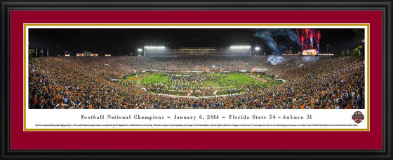 BCS 2014 Football Champions - Florida State - Deluxe Frame - 757 Sports Collectibles