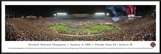 BCS 2014 Football Champions - Florida State - Standard Frame - 757 Sports Collectibles