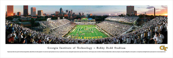 Georgia Tech Football - End Zone - Unframed - 757 Sports Collectibles