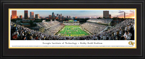 Georgia Tech Football - End Zone - Deluxe Frame - 757 Sports Collectibles