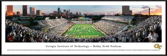 Georgia Tech Football - End Zone - Standard Frame - 757 Sports Collectibles