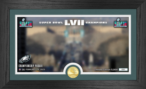 Philadelphia Eagles Super Bowl LVII Champions Parade Bronze Coin Pano Photo Mint