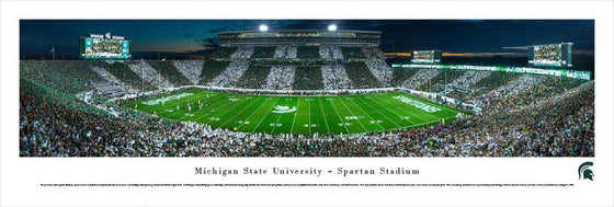 Michigan State Football - Stripe - 50 Yd - Unframed - 757 Sports Collectibles
