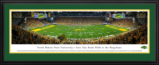 North Dakota State Bison Football - 50 Yard Line - Deluxe Frame - 757 Sports Collectibles