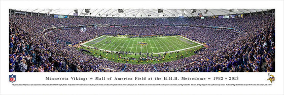 Minnesota ViKings - Final Game at the Metrodome - Unframed - 757 Sports Collectibles