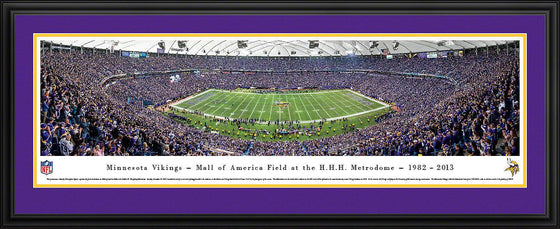 Minnesota ViKings - Final Game at the Metrodome - Deluxe Frame - 757 Sports Collectibles