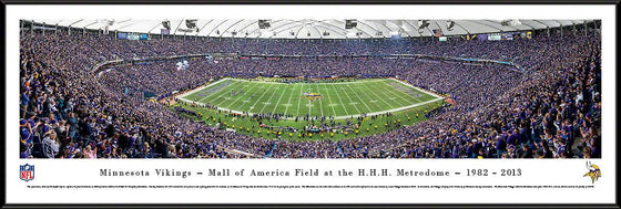 Minnesota ViKings - Final Game at the Metrodome - Standard Frame - 757 Sports Collectibles