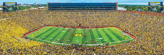 Stadium Panoramic - Michigan Wolverines 1000 Piece Puzzle - Center View