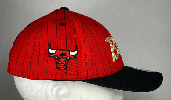 Mitchell and Ness NBA Chicago Bulls Team Script Snapback Hat, Cap, New