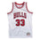 Mitchell & Ness Platinum NBA Jersey Chicago Bulls #33 Pippen Silver Collection