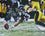 Troy Polamalu HOF Steelers Signed/Auto 16x20 Fanatics Photo JSA Wit 161846 - 757 Sports Collectibles