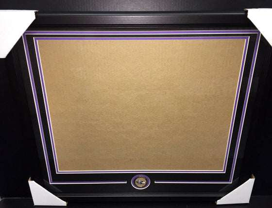 Baltimore Ravens Medallion Frame Kit 16x20 Photo Double Mat Horizontal