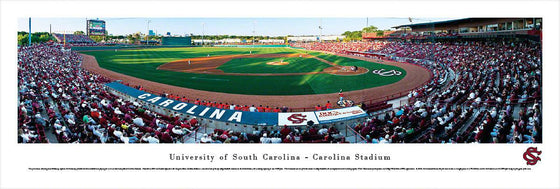 South Carolina Baseball - Unframed - 757 Sports Collectibles
