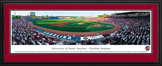 South Carolina Baseball - Deluxe Frame - 757 Sports Collectibles