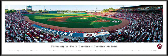 South Carolina Baseball - Standard Frame - 757 Sports Collectibles