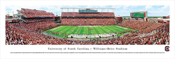 South Carolina Football - 50 Yard Line - Unframed - 757 Sports Collectibles