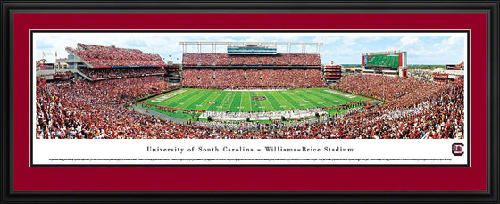 South Carolina Football - 50 Yard Line - Deluxe Frame - 757 Sports Collectibles