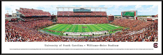 South Carolina Football - 50 Yard Line - Standard Frame - 757 Sports Collectibles