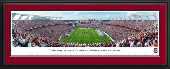 South Carolina Gamecocks Football - End Zone at Williams-Brice Stadium - Deluxe Frame - 757 Sports Collectibles