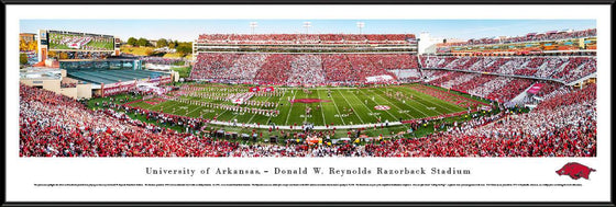 Arkansas Razorback Football - Stripe - Standard Frame - 757 Sports Collectibles