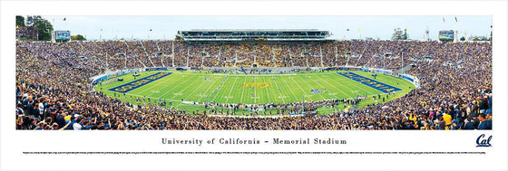 California Berkeley Football - Unframed - 757 Sports Collectibles