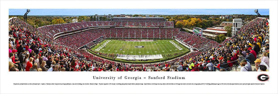 Georgia Football - 50 Yard Line - Day - Unframed - 757 Sports Collectibles