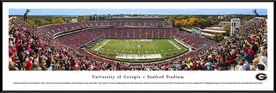 Georgia Football - 50 Yard Line - Day - Standard Frame - 757 Sports Collectibles