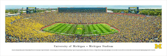 Michigan Football - 50 Yard Line - Unframed - 757 Sports Collectibles