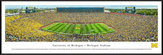 Michigan Football - 50 Yard Line - Standard Frame - 757 Sports Collectibles