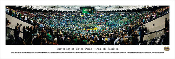 Notre Dame Basketball - Unframed - 757 Sports Collectibles