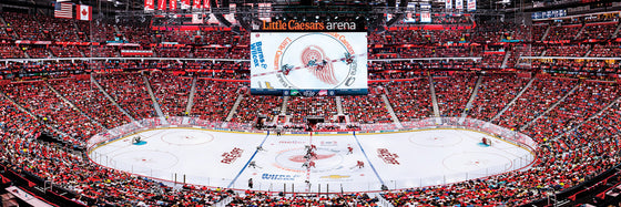 Stadium Panoramic - Detroit Red Wings 1000 Piece NHL Sports Puzzle - Center View